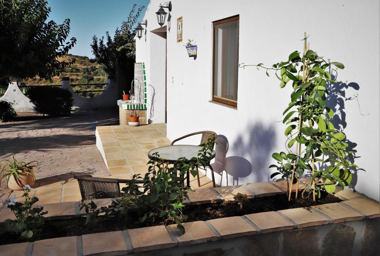 Finca La Meica Bed&Breakfast Casabermeja Bagian luar foto